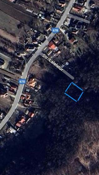 Vand teren cu padure 4000 mp intravilan constructii Budesti - 1