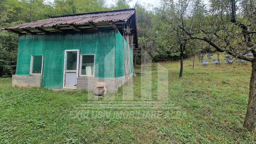 Casa individuala | 120 mp | 1390 mp teren | Livada | Cetea - 12