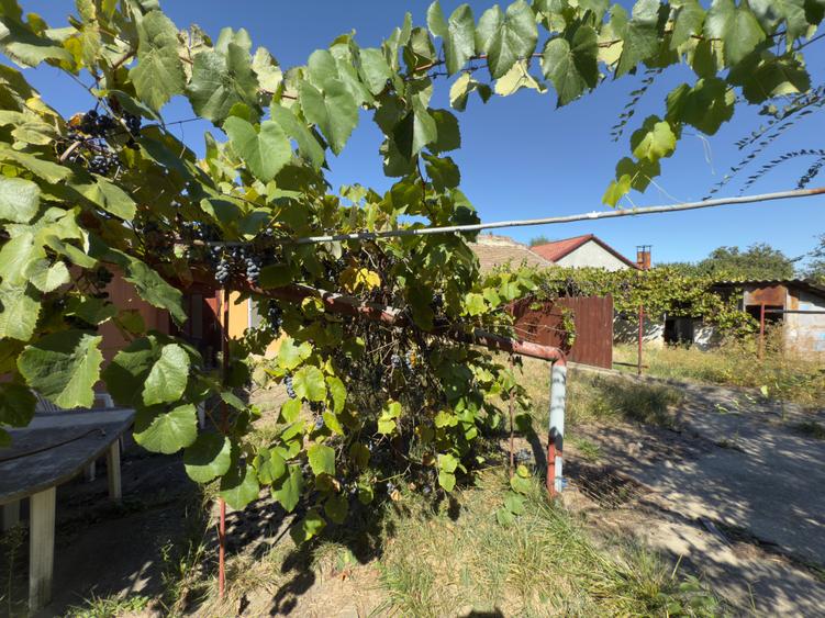 Casa 3 camere , teren 1438 mp - Fratelia - 5