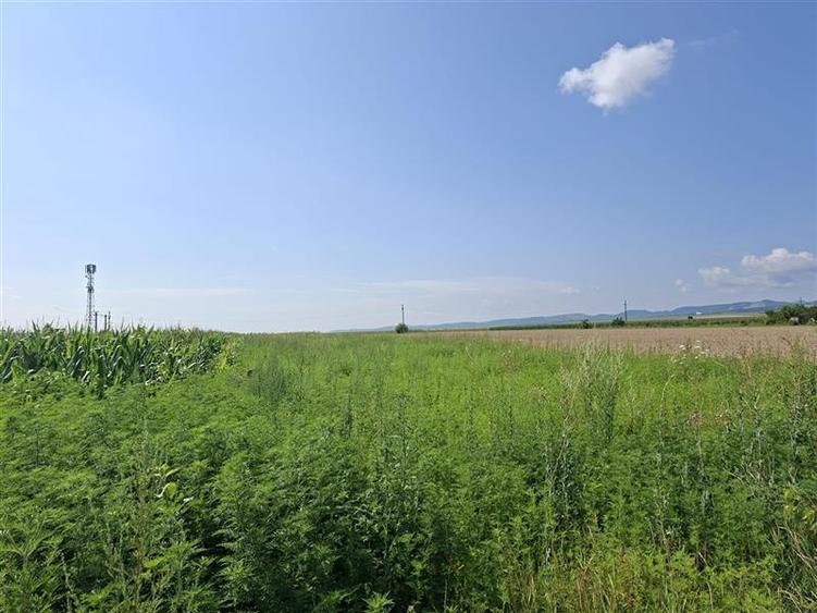 Teren intravilan de 1600 mp, în 9 Mai