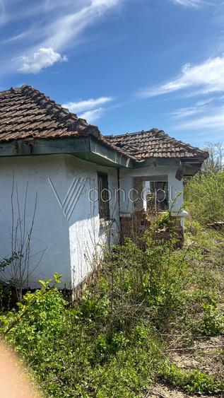 Teren Construcții intravilan de 3252 mp, în Periș
