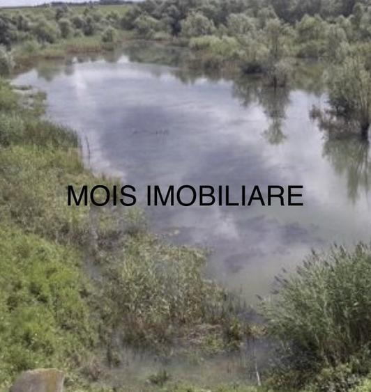 Teren Construcții extravilan de 58000 mp, în Avrig