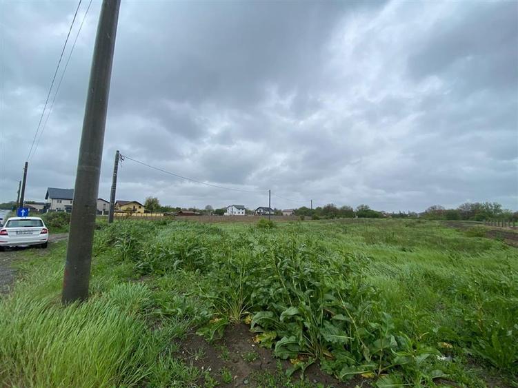 Teren Construcții intravilan de 3993 mp, în Ciorogârla