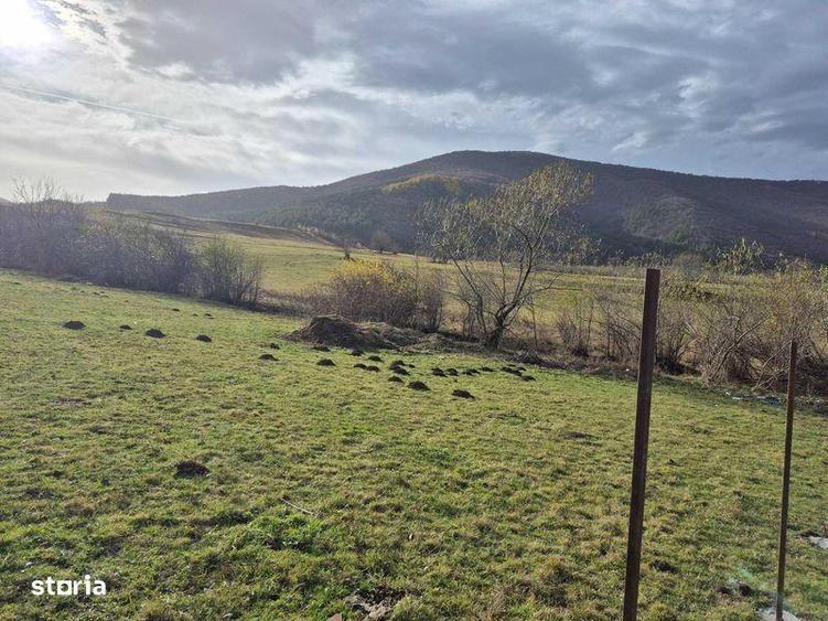 Teren de 1500 mp, în Orlat