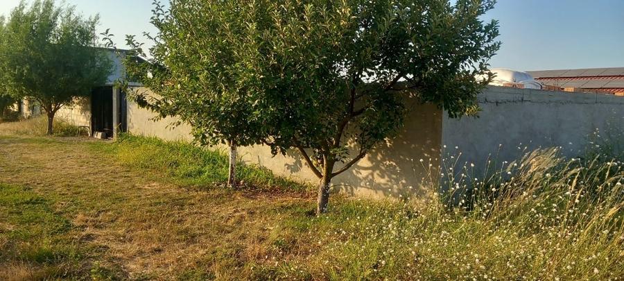 Casă individuală cu 4 camere cu Teren 509 Mp în Frumușani