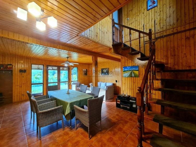 Vila + Afacere 15.000mp Clinceni - 11