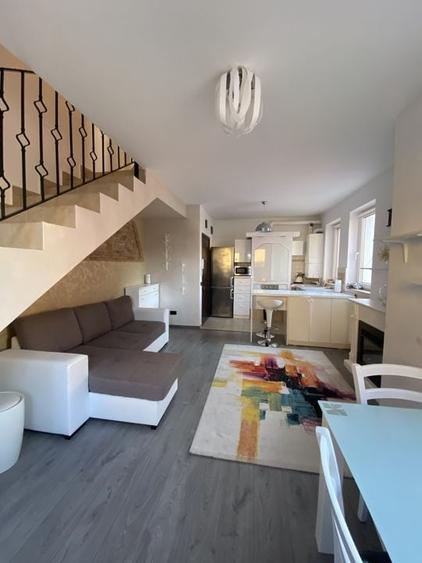 Cochet la intrare in Dumbravita - 15