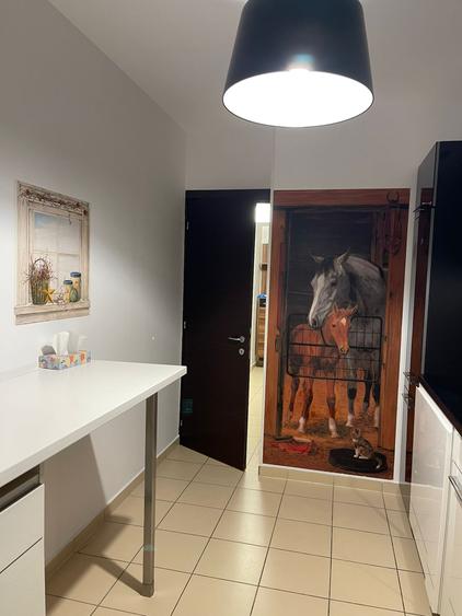 Inchiriere apartament 3 camere,Asmita Gardens,doua locuri de parcare - 7