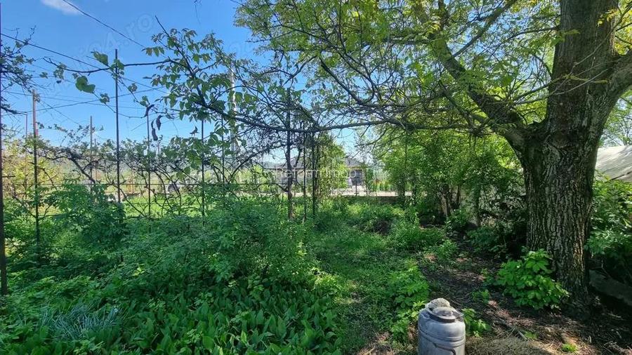 De vanzare casa in Bon?ida cu teren generos