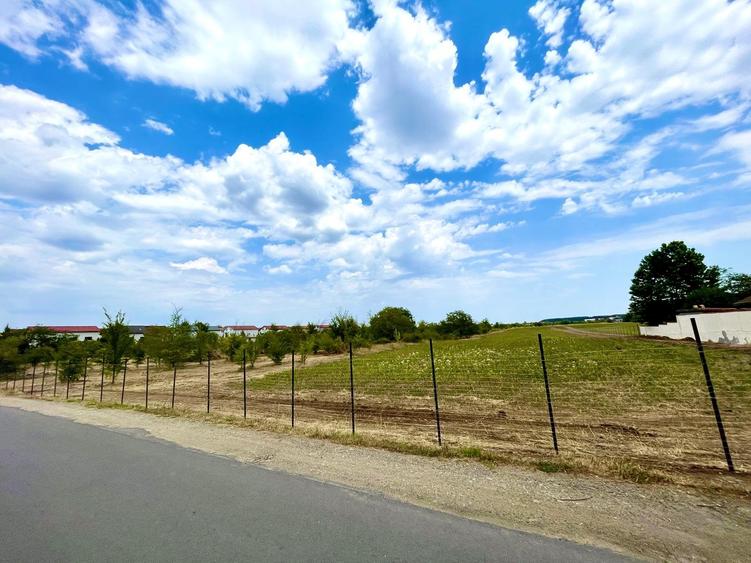 Corbeanca Vanzare teren intravilan stradal - 1