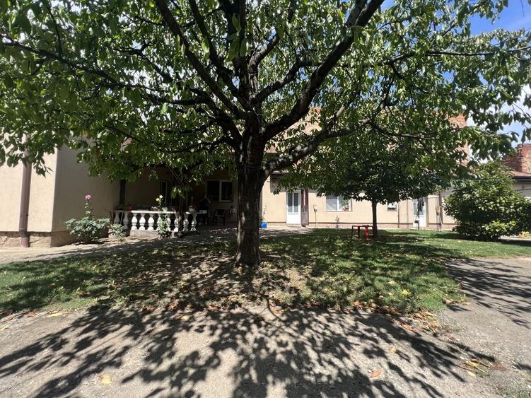 CASA CU TEREN GENEROS- 1.593 MP - 3