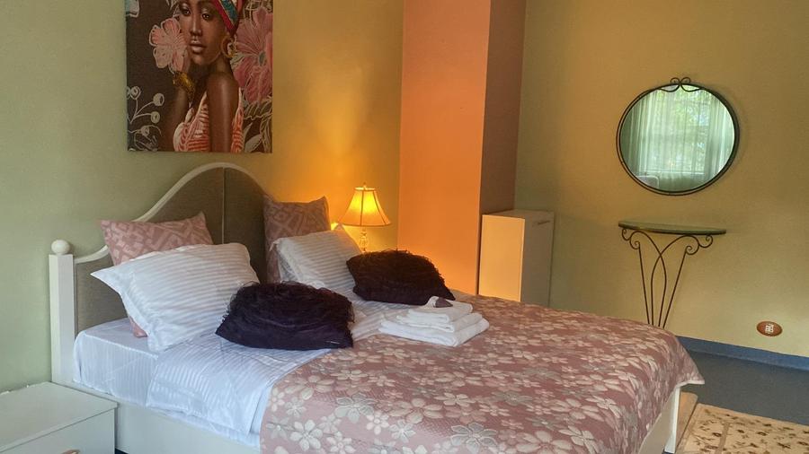 Vila individuala Victoriei pretabil birouri clinica restaurant rezidenta - 11