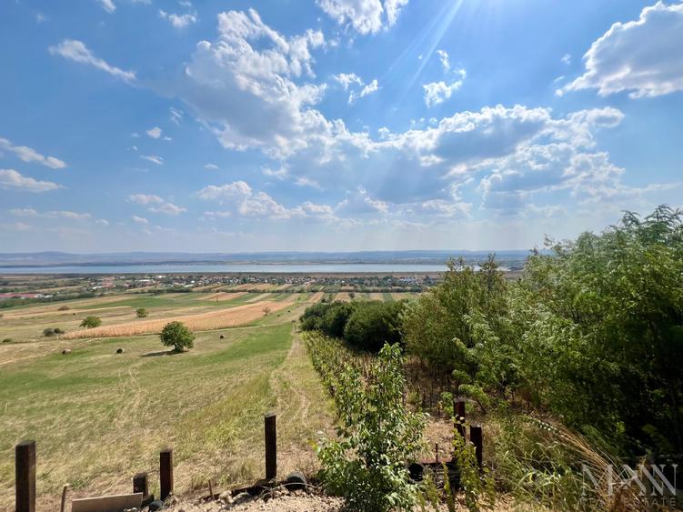 Pivnita + parcela de vie | de vanzare | Uileacu de Cris, Bihor - 5