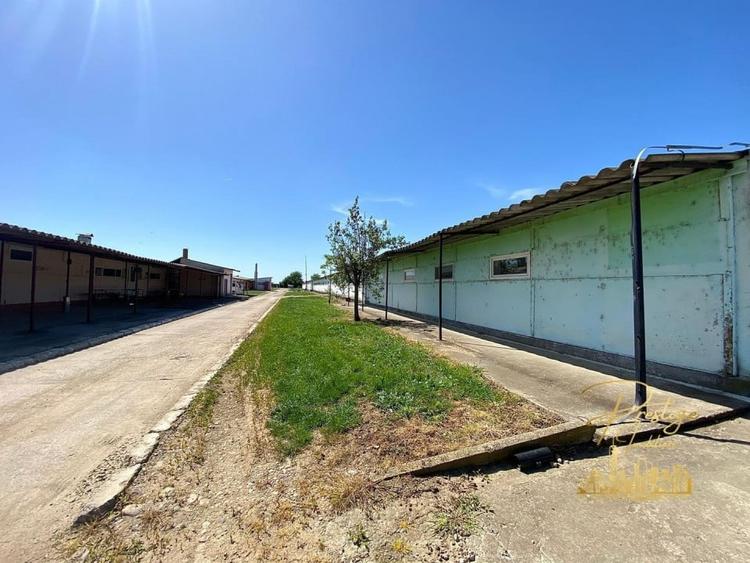 Hala 470 mp de inchiriat in Palota - Bihor - 5