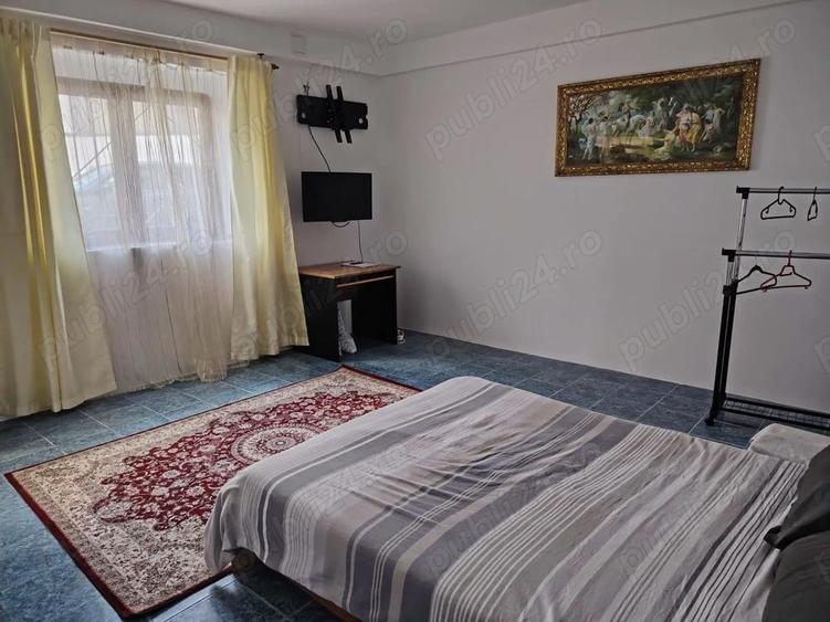 Ultracentral . Inchiriez apartament cu 2 camere Timisoara - 8