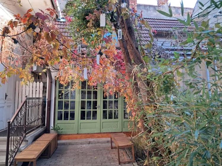 Casa deosebita ,zona centrala-oportunitate investi?ionala cu multiple destinatii - 1