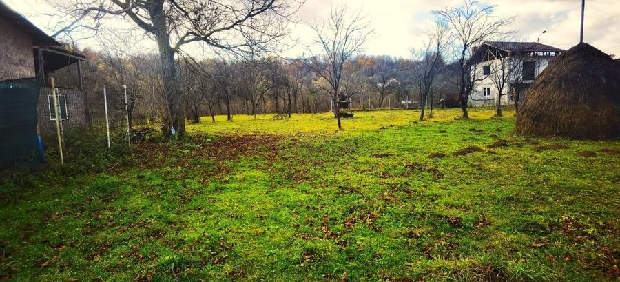 Teren de exceptie langa Breaza 2900Mp - 3