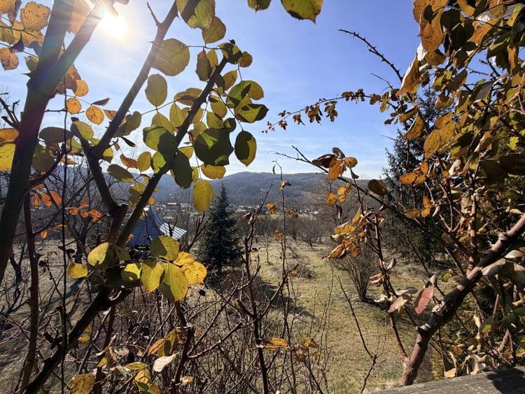 Refugiu Exclusivist Prahova Casa cu 5.2 ha, Panoramă Pârâu și Potențial Turistic - 35