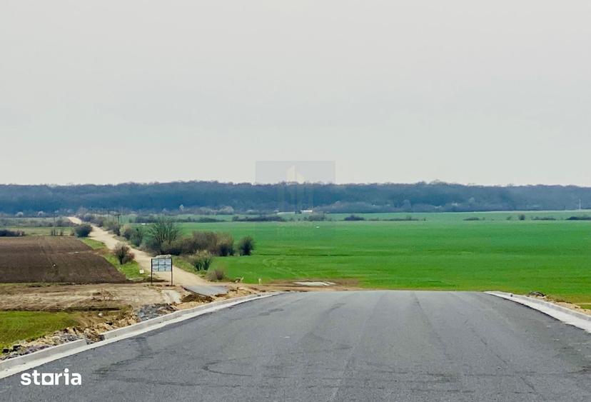 Teren de 20455 mp, în Ciorogârla