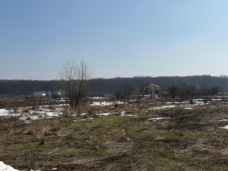 Domnești, teren langa pădure, 420mp, utilități,  deschidere 21ml, intravilan - 2