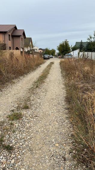 Balotesti Margeanului 1060 mp 34euro/mp - 7