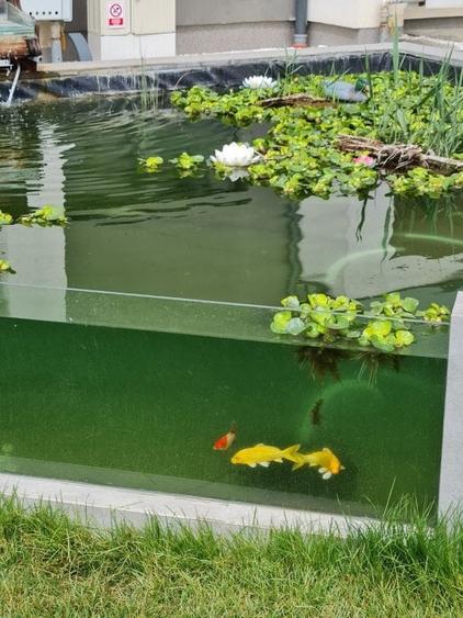 Spatiu comercial, 52 mp + 16mp balcon, iunie 2027 - 9