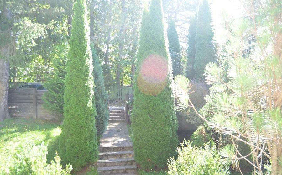 Vila de vacanta situata in Predeal-Cioplea - 3