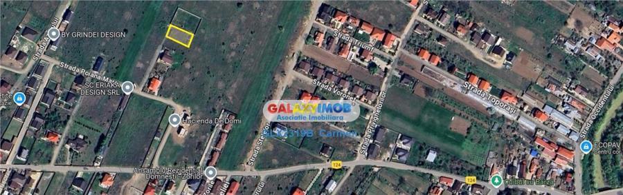 Teren intravilan - Domnesti - Intrarea Albastrelelor - 12