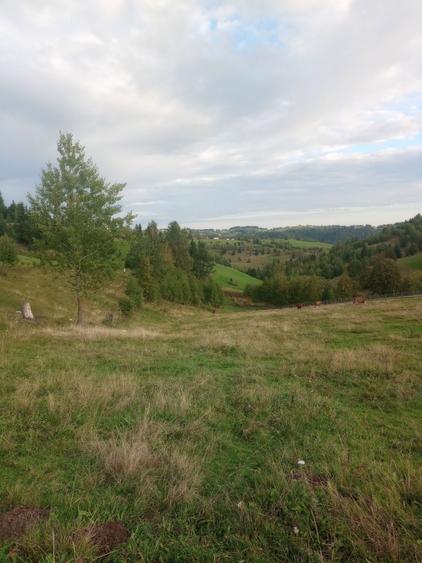 Vand teren intravilan si extravilan Sat Maguri - 4