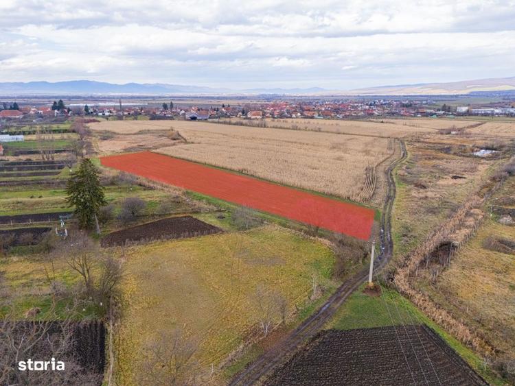 Teren extravilan Bod, 10.000 mp, acces DE 290, zona spre Harman - 3