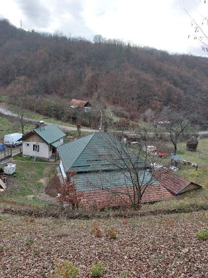 Casa, teren si padure de vanzare-40.000 mp, direct proprietar in Apuseni. - 5