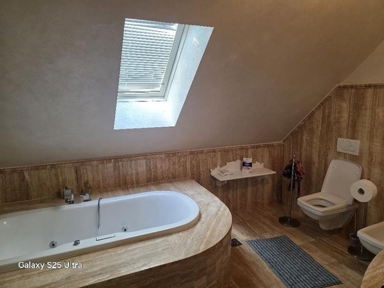 Vând urgent vila deosebita - 9