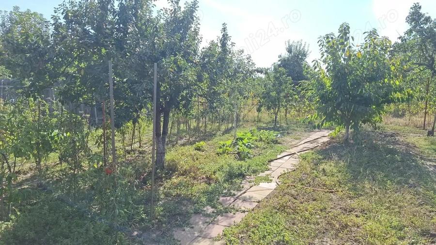 Casa de vanzare in Buftea, 5 camere - 2