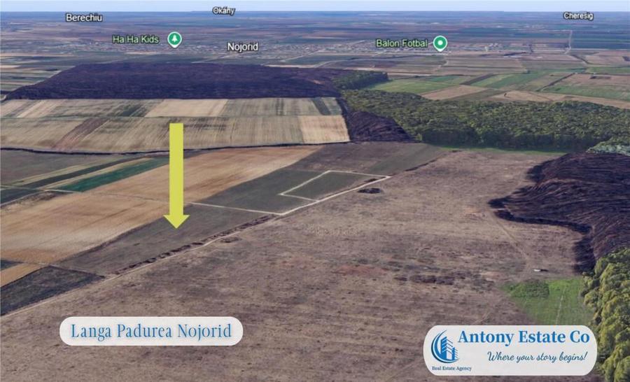 Oportunitate de investitie - Teren Cihei, langa Padurea Nojo - 12
