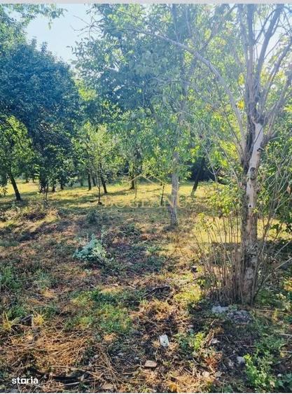 BG131-Teren: 2.822 mp pentru Proiect Imobiliar Premium COMISION 0% - 3