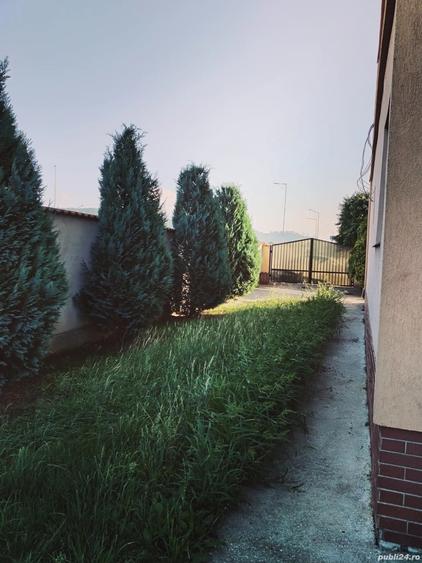 Vand casa Intrare Cristian - 3