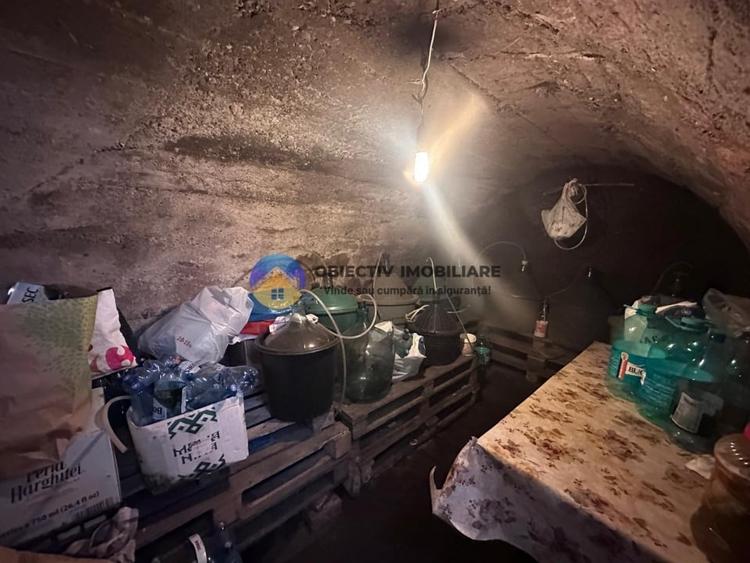 Casa + teren de vanzare - Zanesti - 10