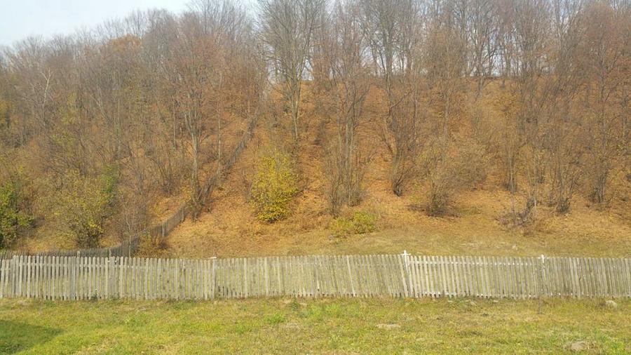 Cabana cocheta si teren la munte - 5