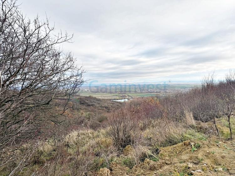 Parcela de teren extravilan, langa padure, zona Gheorghe Doja, Oradea - 4