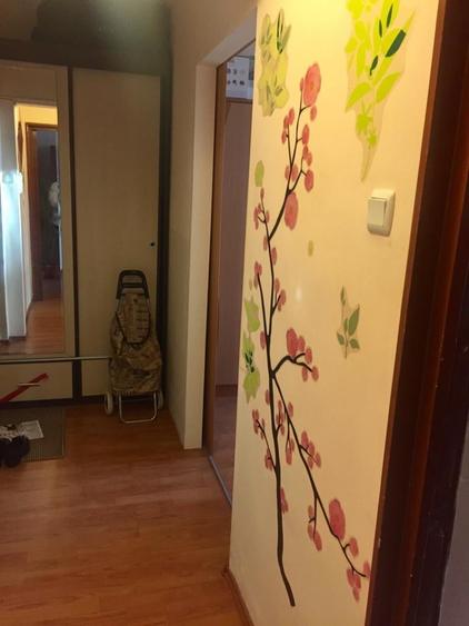 Apartament de inchiriat 3 camere Raul Doamnei New 2026 - 6