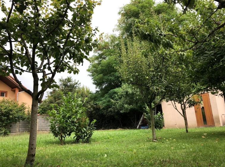 Teren P+1E zona Dambovita | 306 mp | FS 17m | langa Mall Shopping City - 3