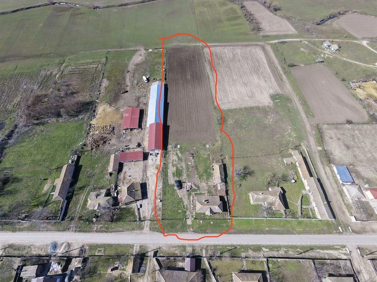 Teren intravilan 6500mp imprejmuit - 4