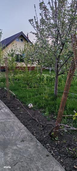 Casa de vanzare cu 2 camere ?i subsol - 8