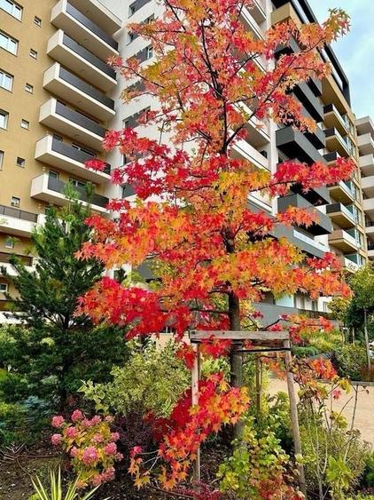 Apartament 2 camere decomandata- mobilat - URBAN PLAZA - 19