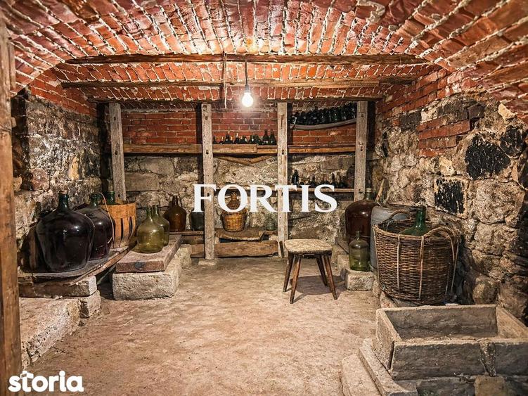 Casa de vanzare in Fagaras, zona 13 Decembrie 0% COMISION - 9