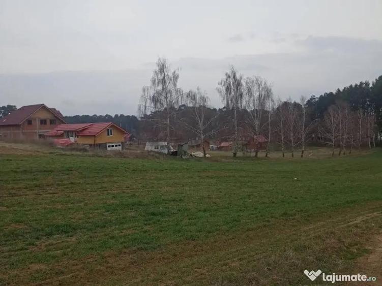 De vanzare terenuri intravilane in Reci - 2