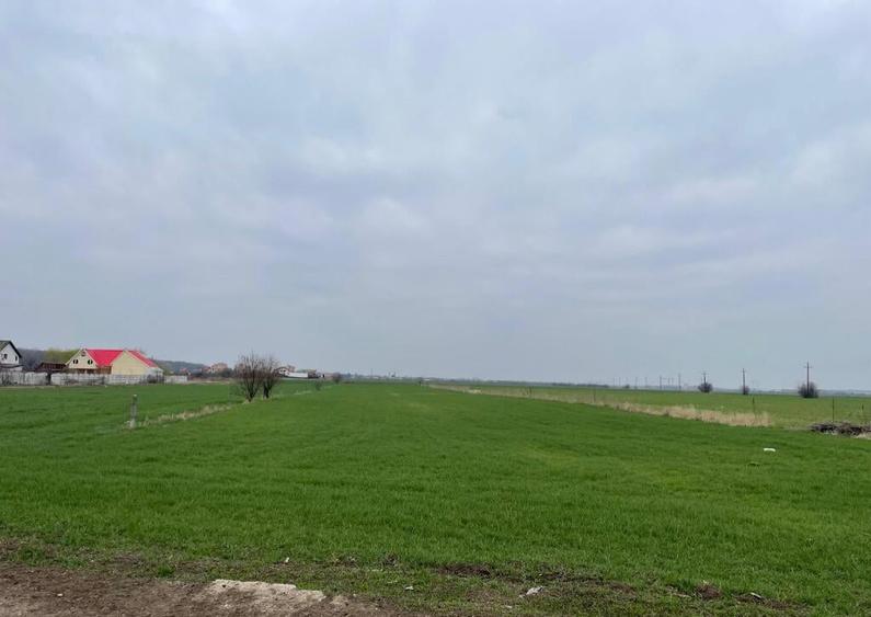 Teren Bolintin Deal 2000 mp New 2026 - 2