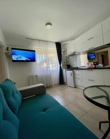 Studio cu gradina si parcare Popesti Leordeni - 1