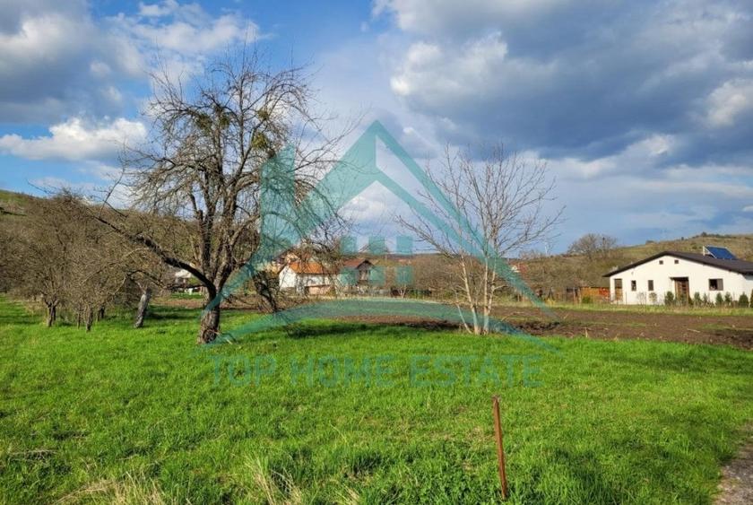 EXCLUSIVITATE! Teren intravilan de vanzare in zona linistita, sat Vlaha! - 3