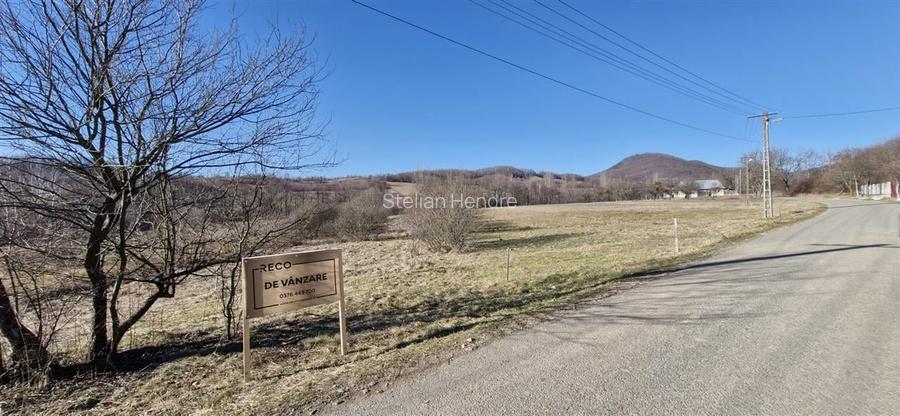 Teren Construcții intravilan de 3893 mp, în Borod Teren Construcții intravilan de 3893 mp, în Borod